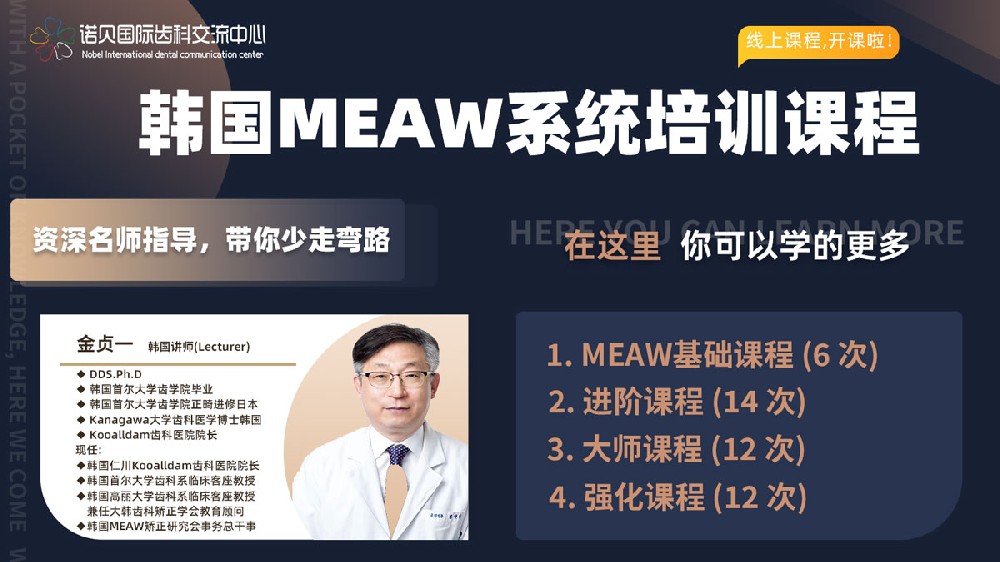 韩国MEAW系统课程